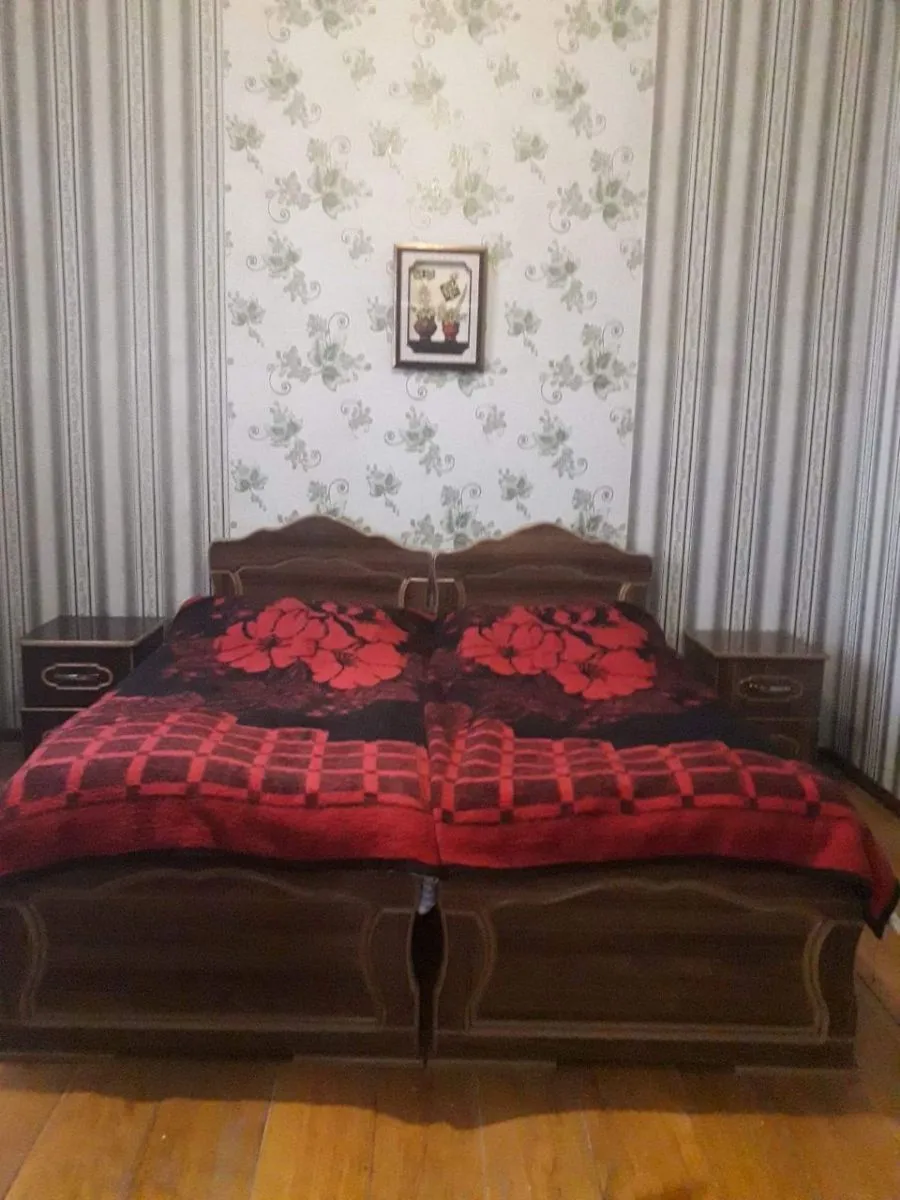 Guest house David — Photo 36
