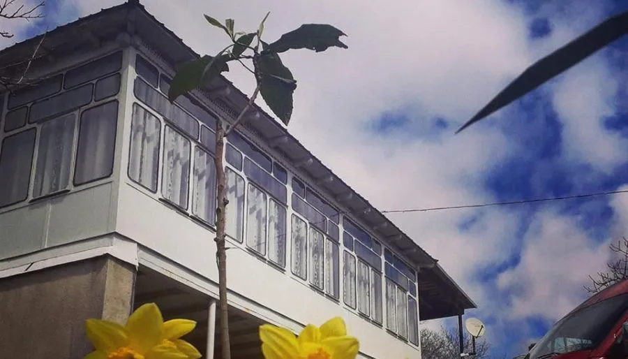 Guest house David — Photo 10