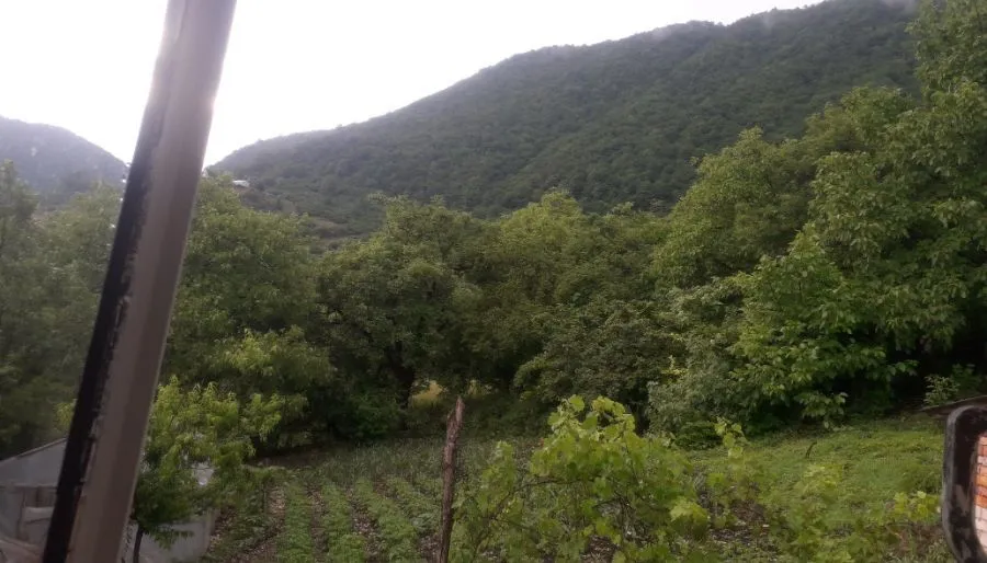 Guest house David — Photo 13