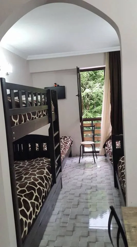 Guest house in Sairme — Photo 60