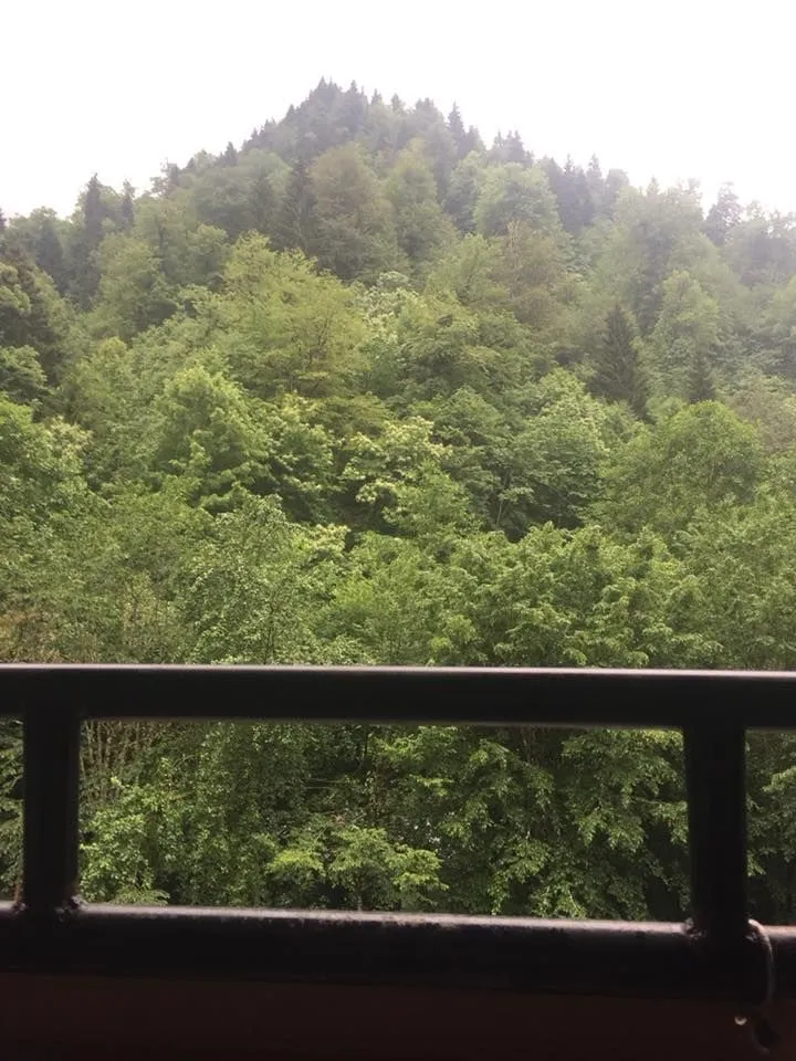 Guest house in Sairme — Photo 4
