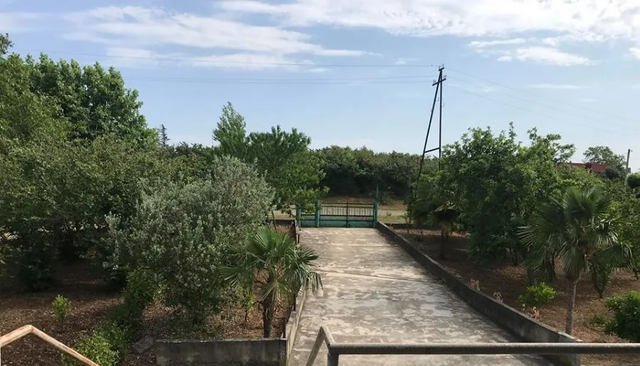 EMILI — Photo 7