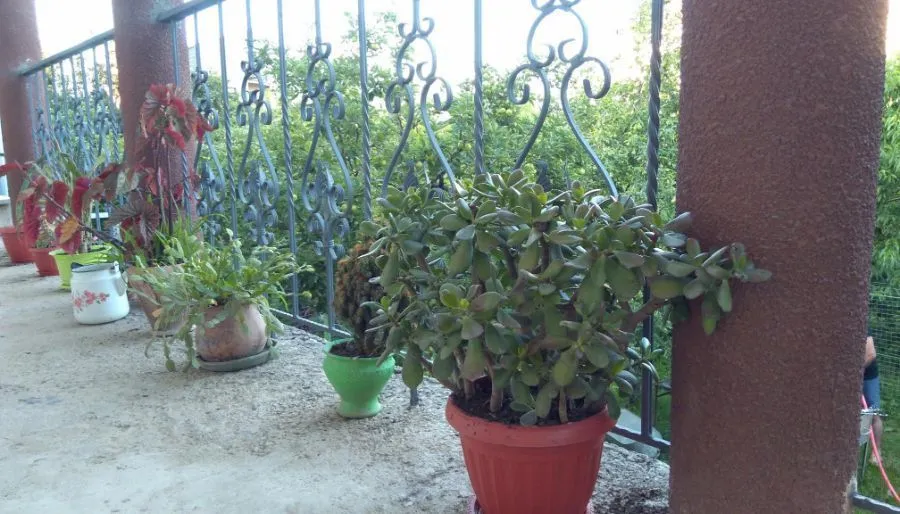 Guest house In Tbilisi — Photo 26