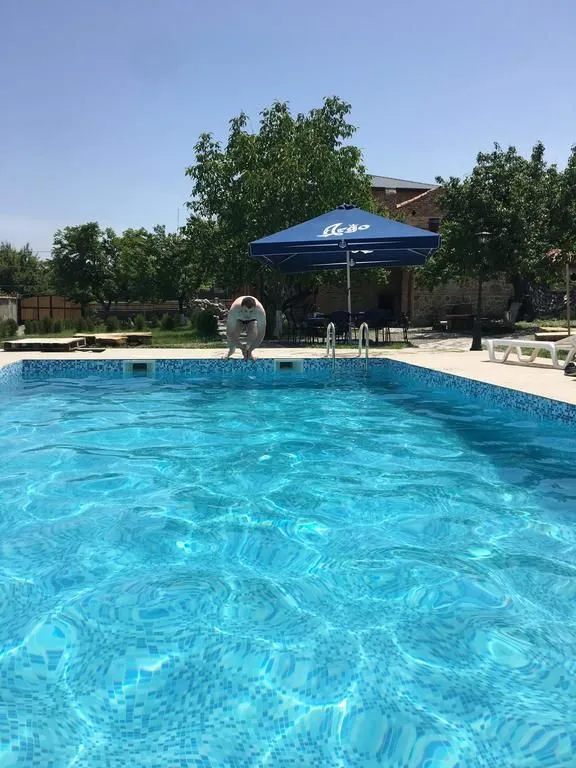 Chateau Ikalto — Photo 4