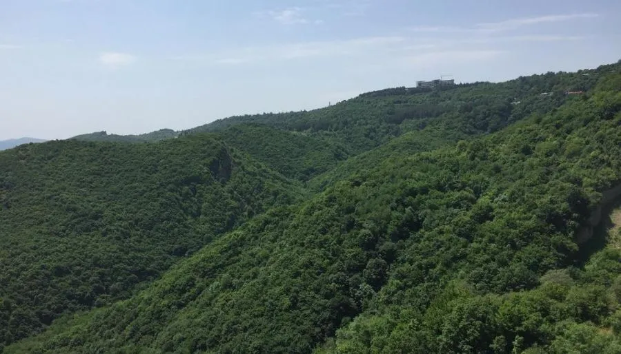 Panorama — Photo 1