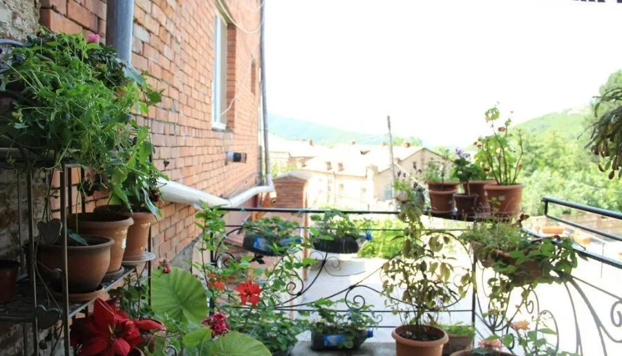 Guest House Eka & Gio — Photo 4