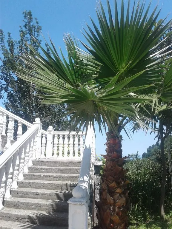 Guest house Maka — Photo 15