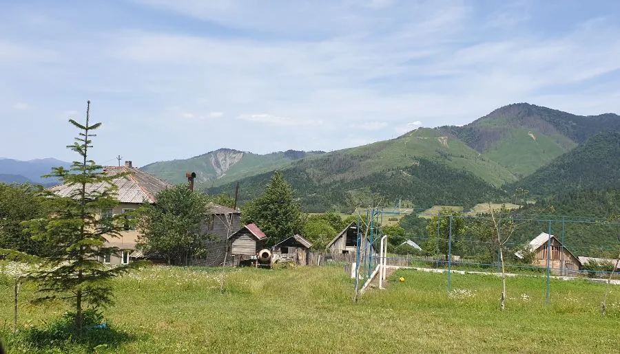Mzetamze — Photo 27