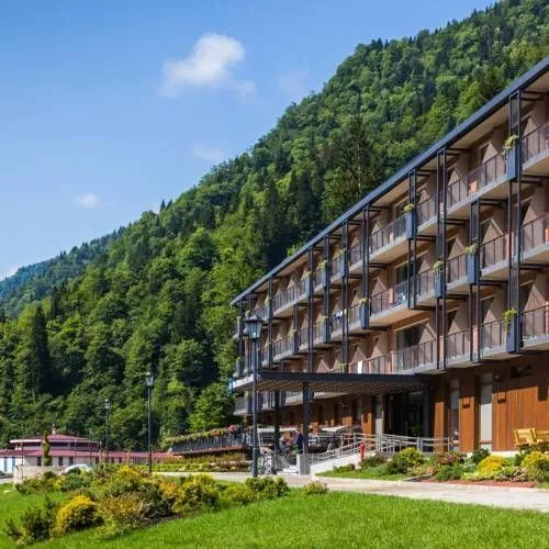 Best Western Sairme Resort — Photo 13