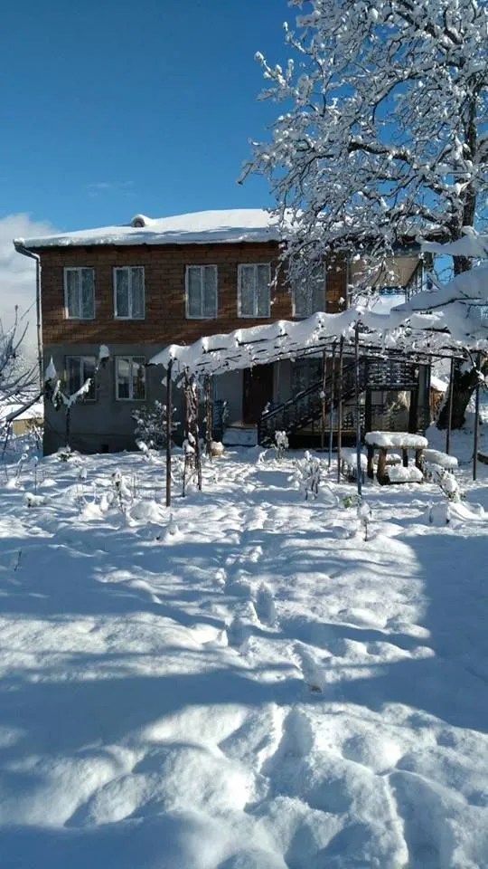 Mercici — Photo 2