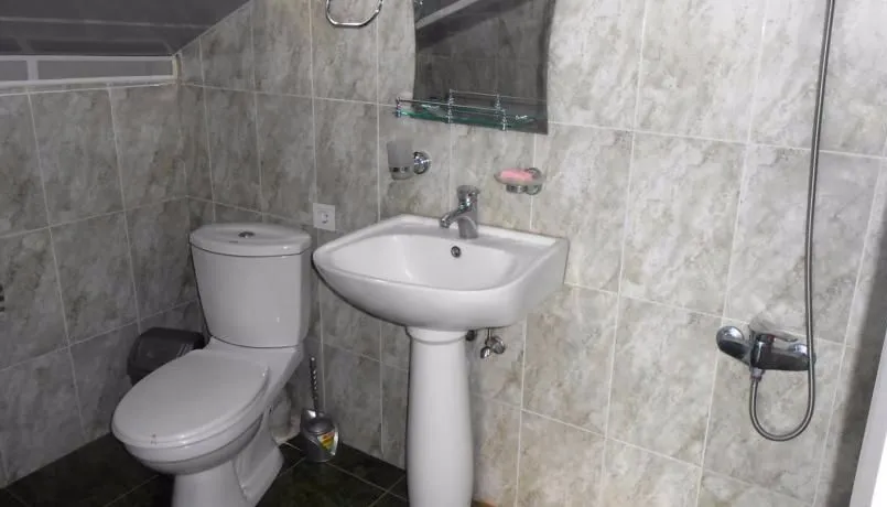 Hotel Neli Telavi — Photo 14