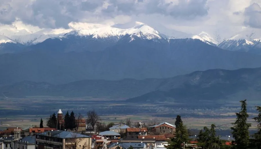 Hotel Neli Telavi — Photo 13