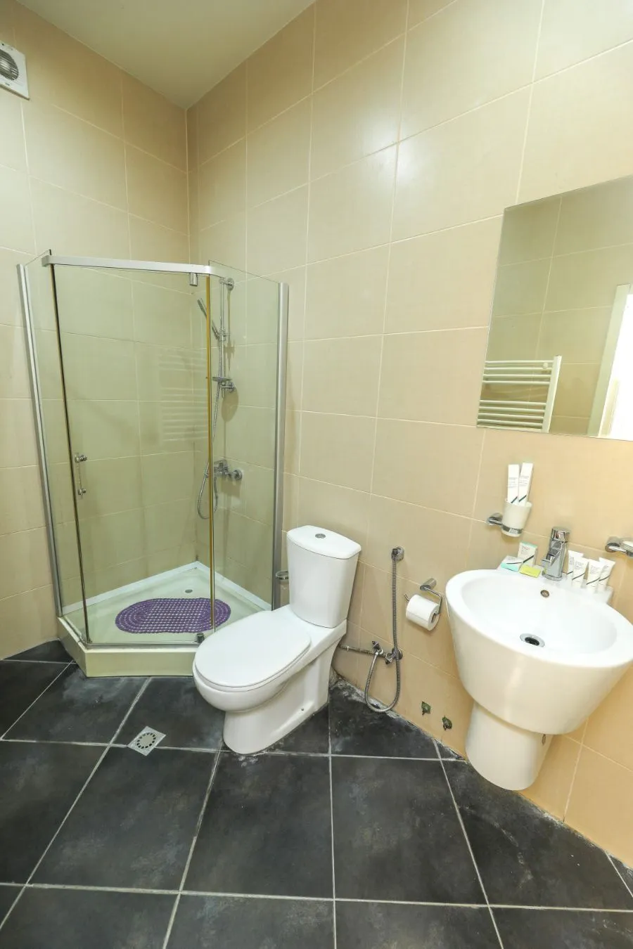 Eurasia Bridge Hotel — Photo 18