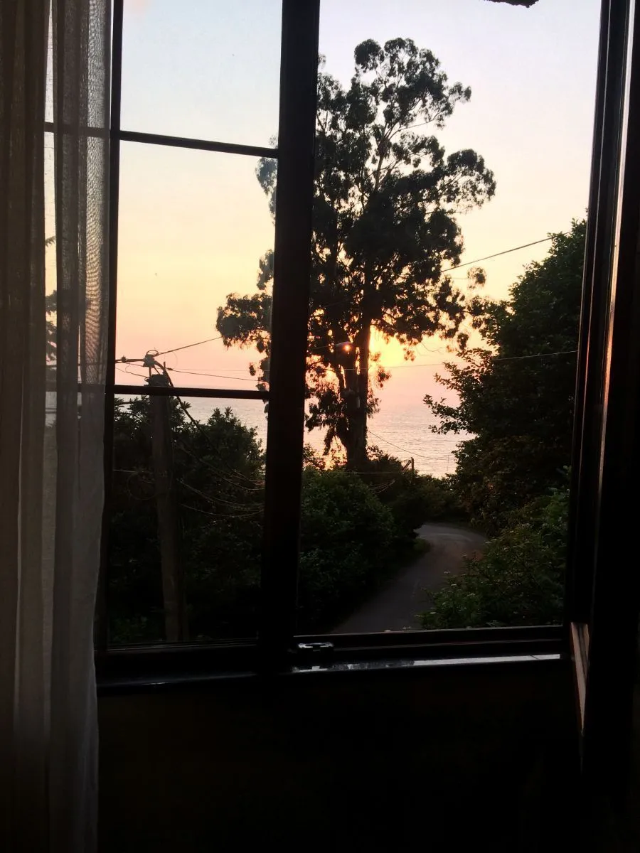 Kolkhi — Photo 6