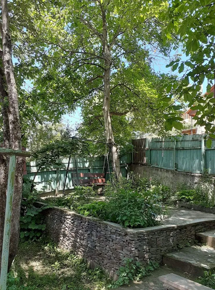 Cottage Toreli — Photo 1