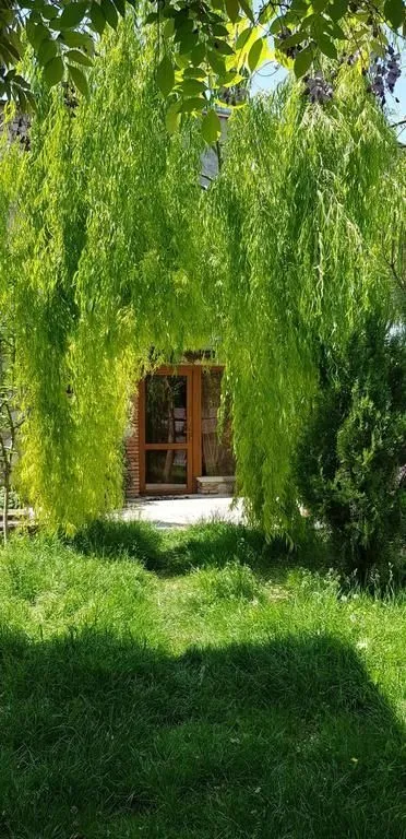 Guest House Tamari — Photo 19
