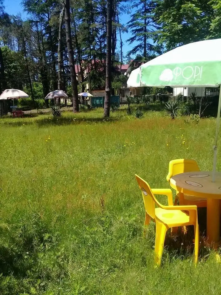 Guesthouse Lali — Photo 11