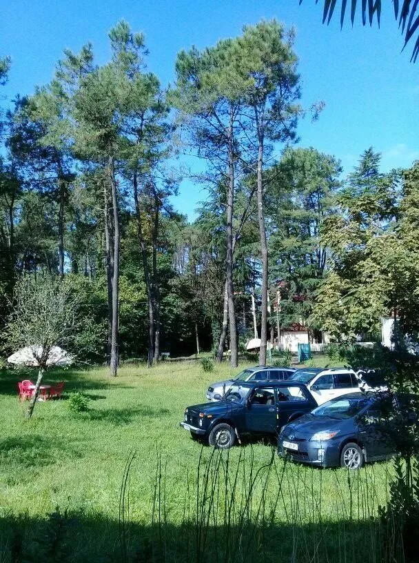 Guesthouse Lali — Photo 31