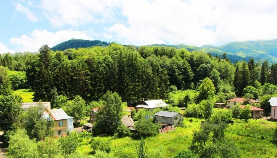 Hilltop Bakuriani — Photo 15
