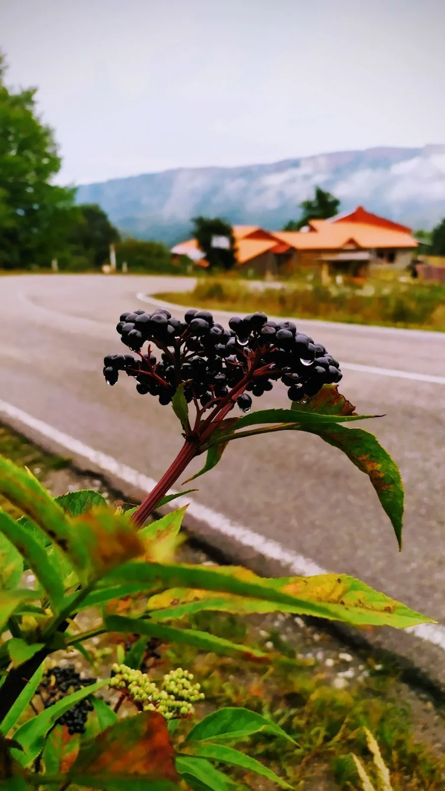 Panorama plus — Photo 29
