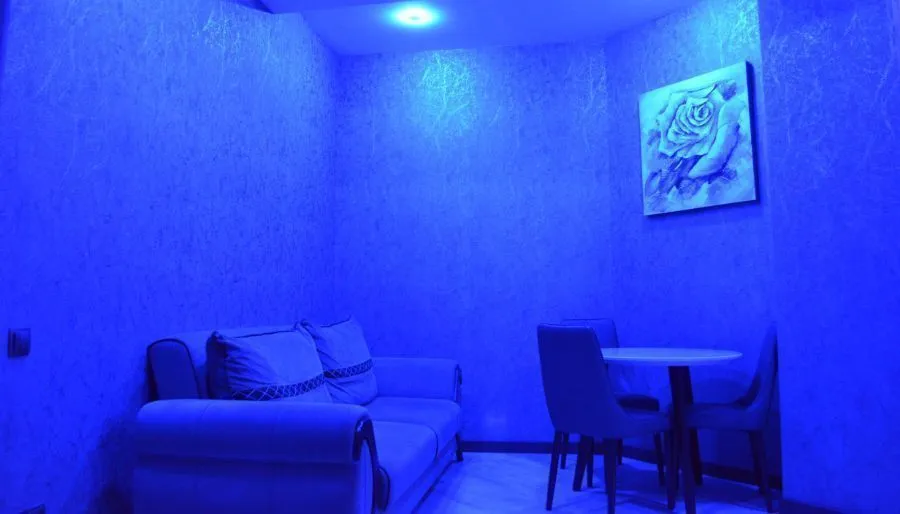 Green Apartment — Photo 18
