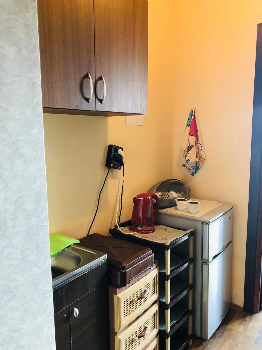 Mziuri Veli Apt 106 — Photo 10
