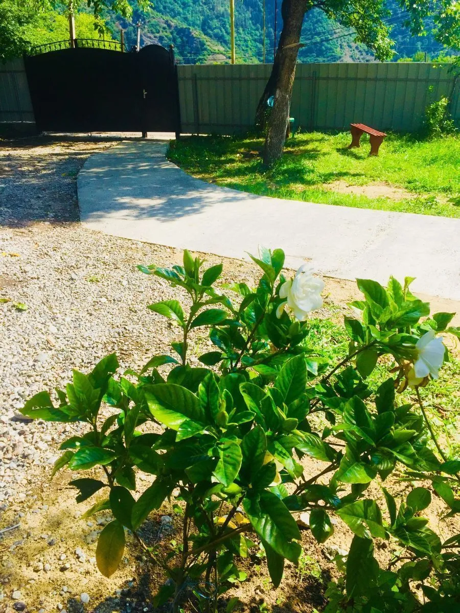 Eka's guest house — Photo 5