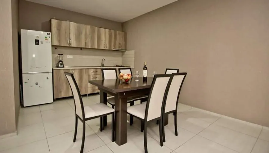 Hillside Bakuriani Apt 105 — Photo 11