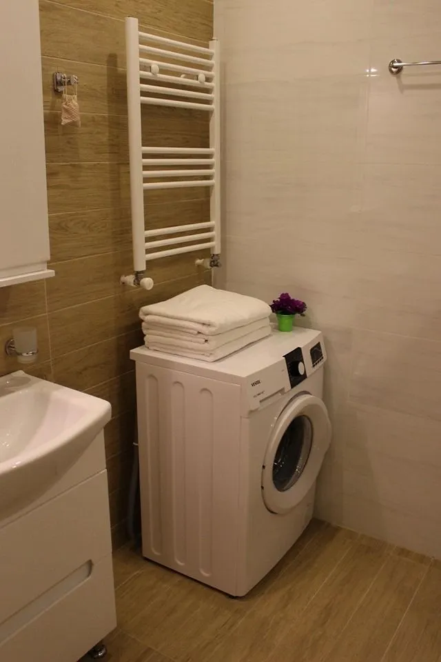 Lizi's Cozy Apartment in Bakuruani — Photo 18