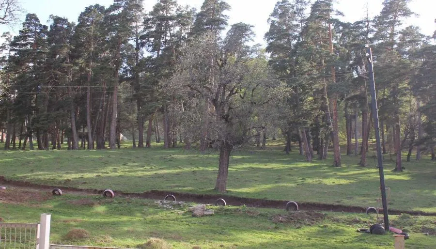 Park Rezidence — Photo 4