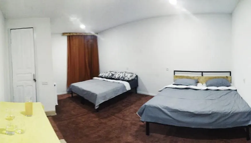 Nest — Photo 25