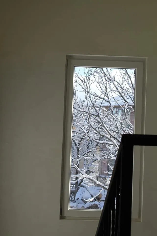 Nest — Photo 6