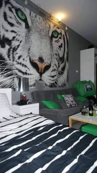 White tiger in new Gudauri II — Photo 22