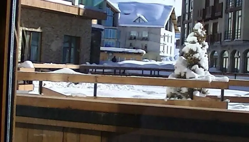 White tiger in new Gudauri II — Photo 14