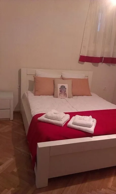 White tiger in  center Tbilisi — Photo 26