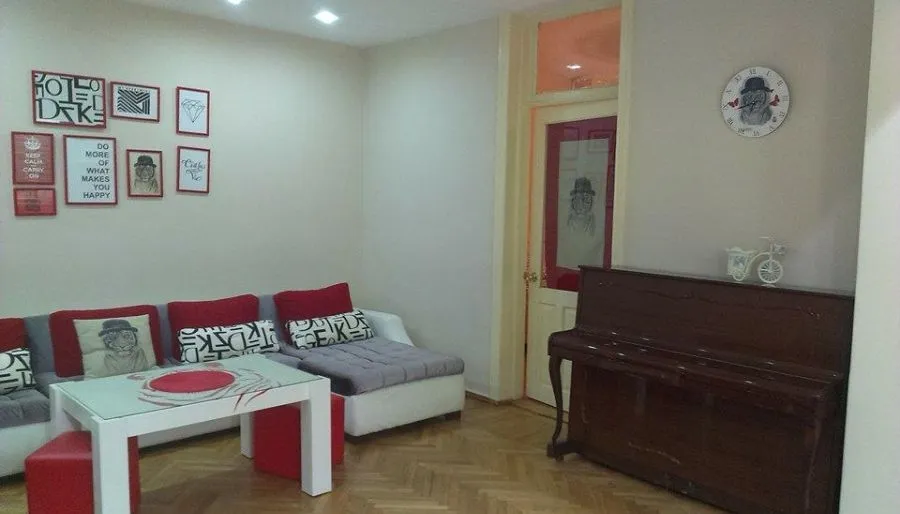 White tiger in  center Tbilisi — Photo 11