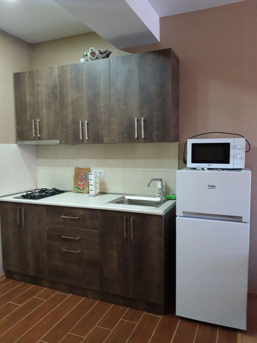 Bakuriani Residence Apt 31 — Photo 16