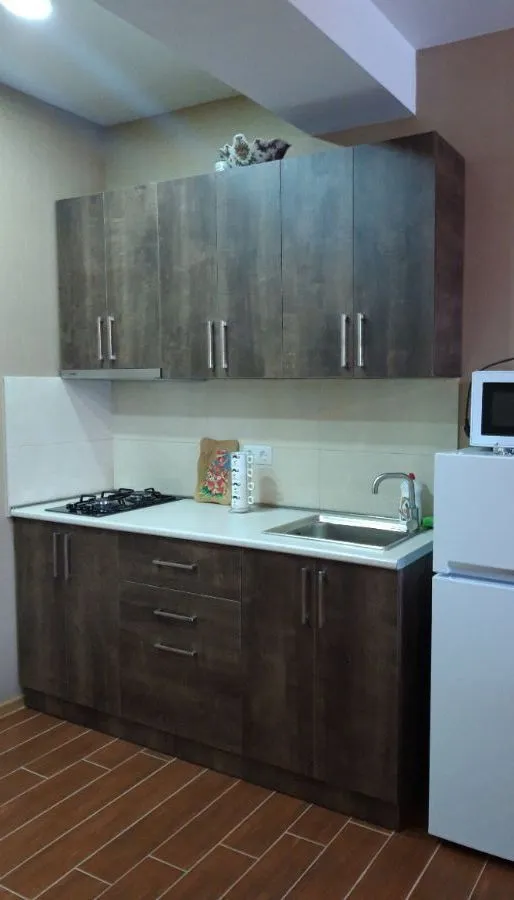 Bakuriani Residence Apt 31 — Photo 23