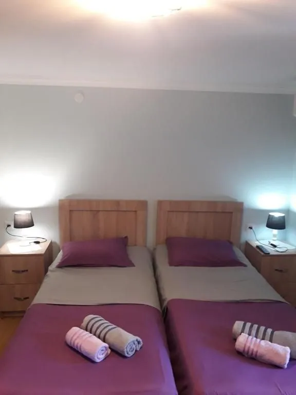 Guest house and apartment Mirian Mepe — Photo 41
