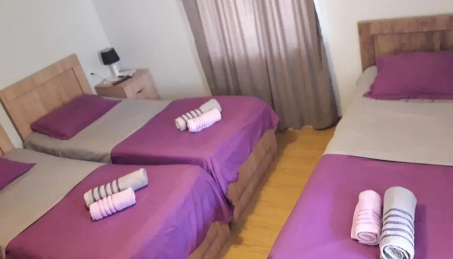 Guest house and apartment Mirian Mepe — Photo 38