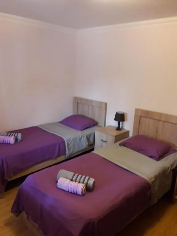 Guest house and apartment Mirian Mepe — Photo 37