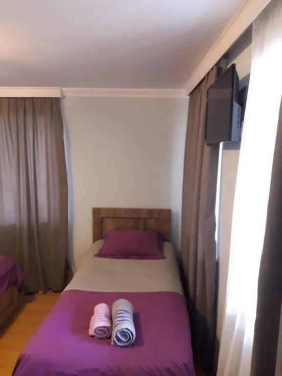 Guest house and apartment Mirian Mepe — Photo 39