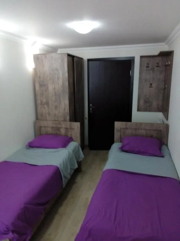 Guest house and apartment Mirian Mepe — Photo 33