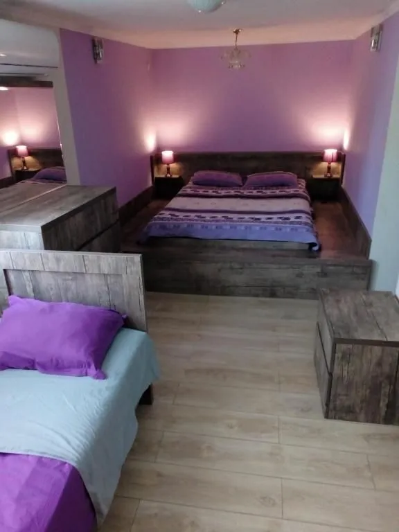 Guest house and apartment Mirian Mepe — Photo 34