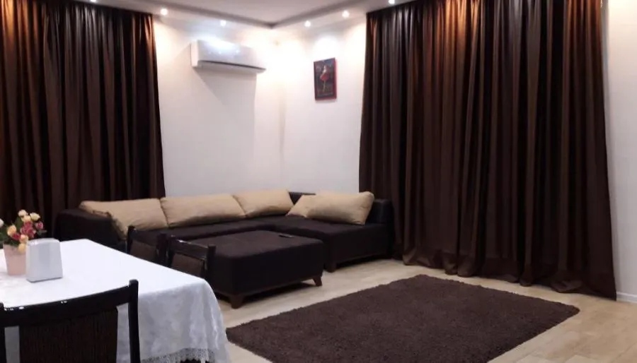 Guest house and apartment Mirian Mepe — Photo 47