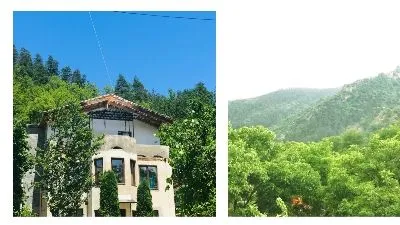 Zviad Guest House — Photo 37