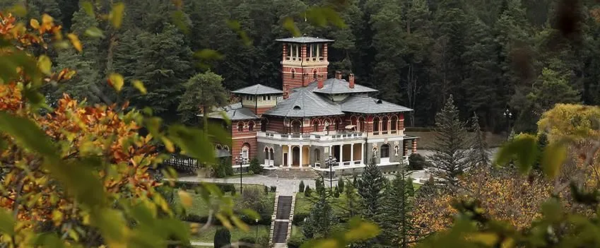 Zviad Guest House — Photo 13