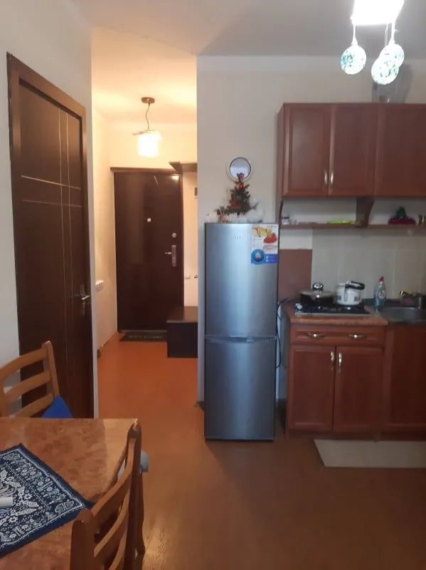 Mziuri veli,  Apartment 96 — Photo 20