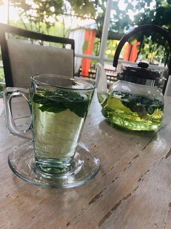 Tbili Sakhli — Photo 13