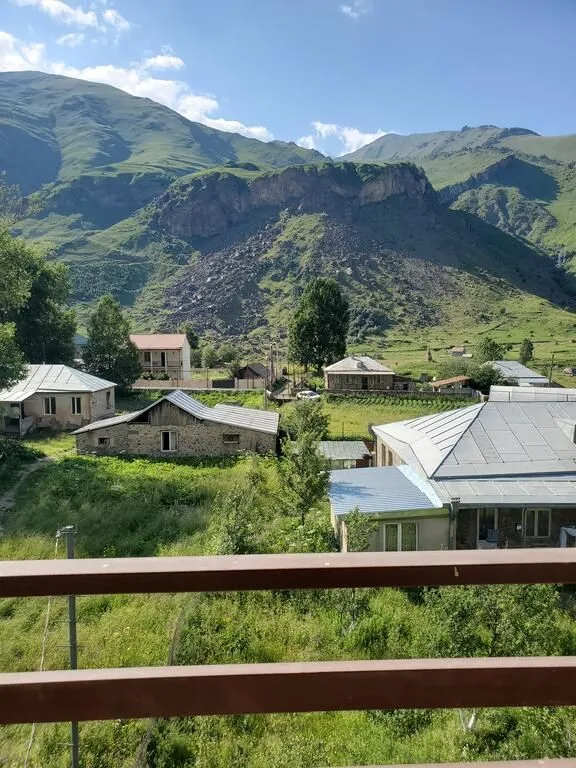 Marli — Photo 18